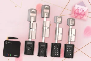 WELOCK anyák napi okoszár akció: biztonság ajándékba