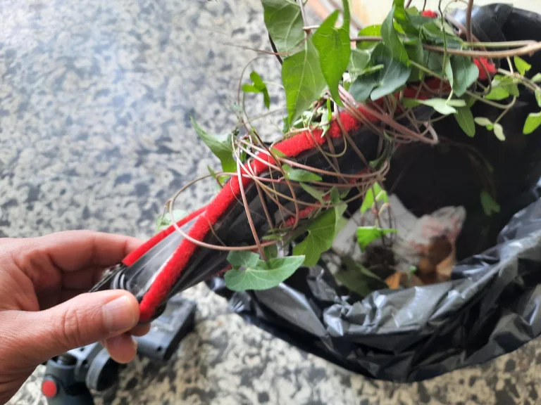 Proscenic P11 Ultra állóporszívó teszt 15