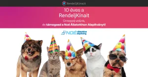 Ünnepelj velünk és segíts a Noé Állatotthon lakóinak!