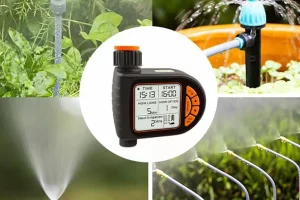 Kertmenedzser kezdőknek és profiknak