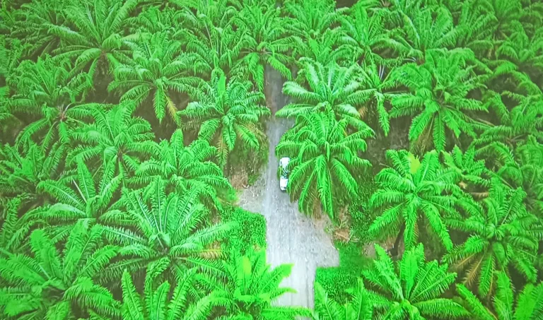 BlitzWolf BW-V10 Ultra projektor teszt 21