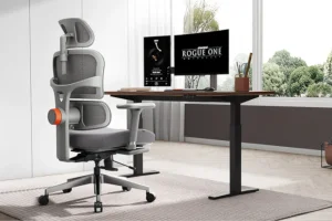 Irodai gerinckímélő küldetés a Newtral NT002 forgószékkel