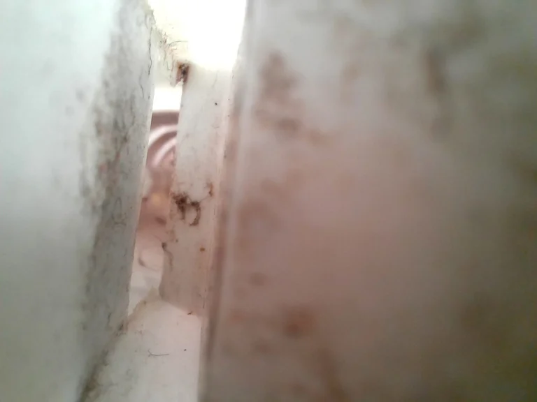 Crosiko C988 kárpittisztító teszt 20