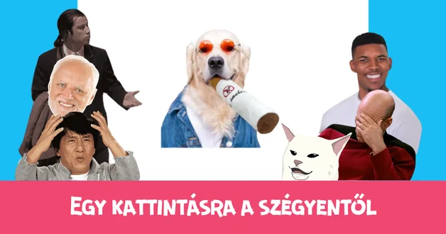 Egy kattintásra a szégyentől: kutyacigi 1