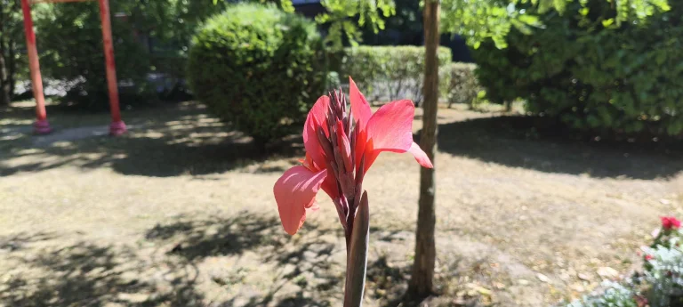 Poco X7 okostelefon teszt 78