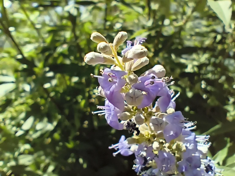 Poco X7 okostelefon teszt 79