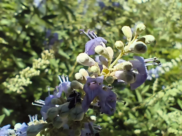 Poco X7 okostelefon teszt 80