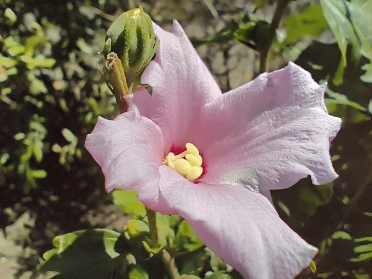 Poco X7 okostelefon teszt 81