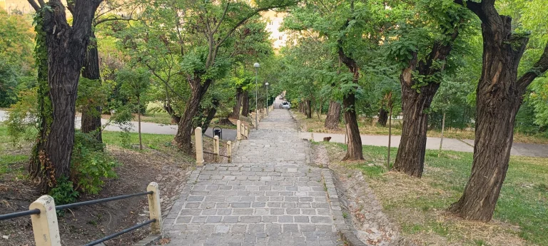 Prueba 7 del teléfono inteligente Poco M5 Pro 50G