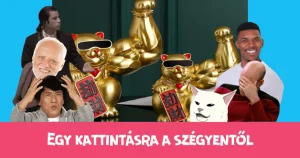 Egy kattintásra a szégyentől: a testépítő integető macska