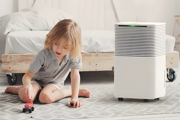 HUMILABS páramentesítők: a nedvesség elleni házi hősök