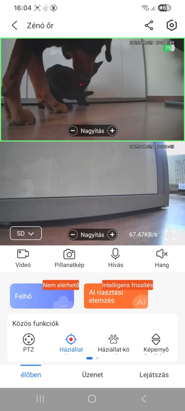 Okos kisállatfigyelő kamera mini teszt 11