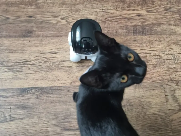 Okos kisállatfigyelő kamera mini teszt 21