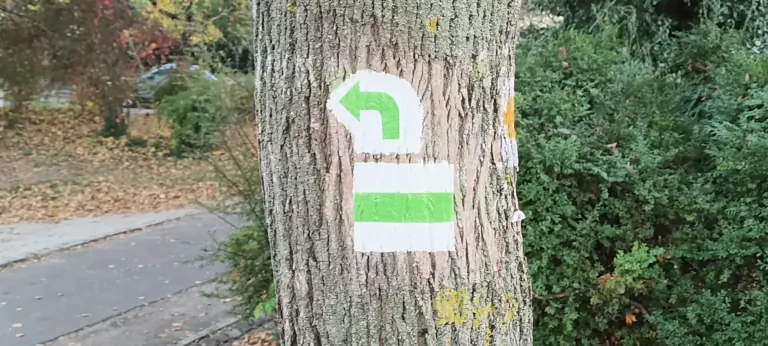 Prueba del teléfono robusto AGM G3 Pro 83