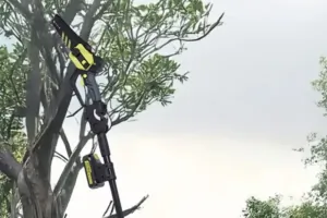 Drillpro akkus láncfűrész: ha nem akarsz létrán hadonászni