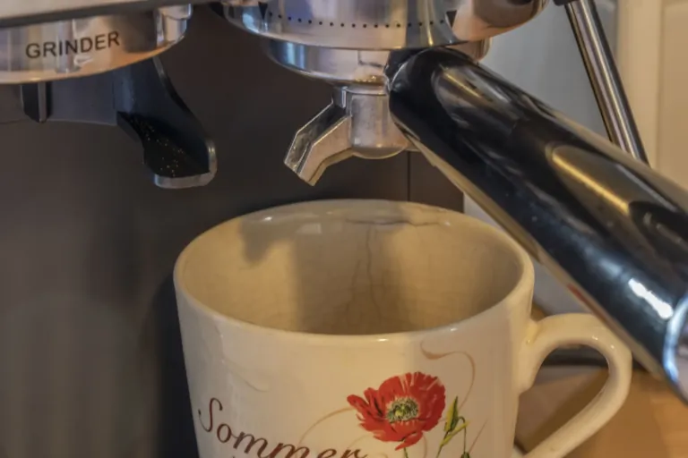 BlitzHome CM5520 karos kávéfőző teszt 30