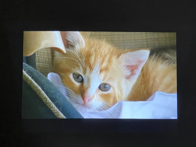 Wanbo Cube 2 Pro projektor teszt 38