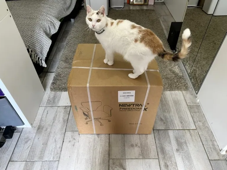 NEWTRAL Freedom-X-FF ergonomikus szék teszt 3