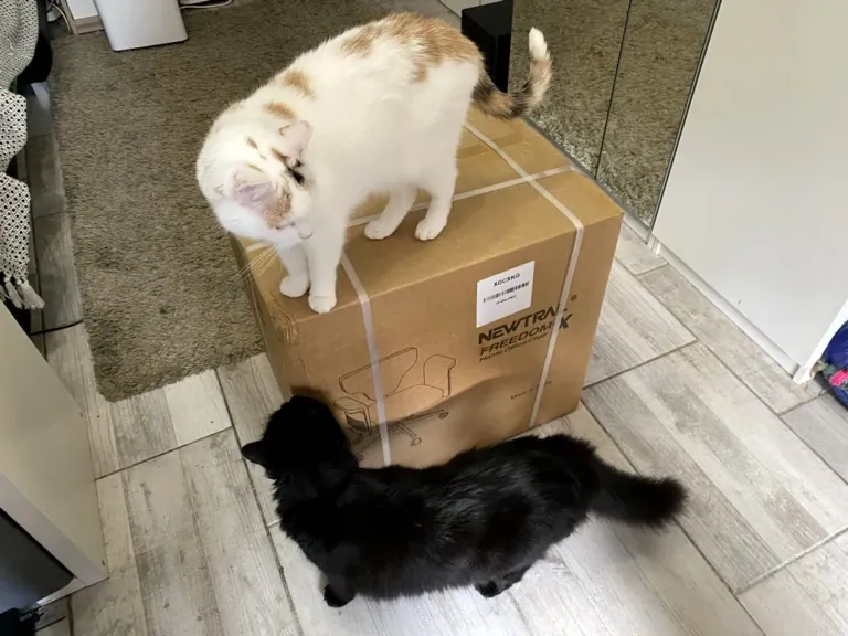 NEWTRAL Freedom-X-FF ergonomikus szék teszt 4