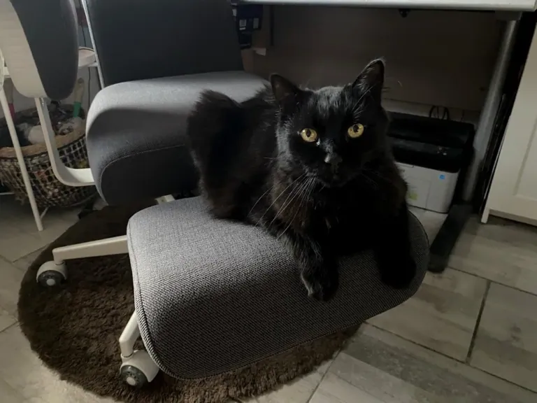 NEWTRAL Freedom-X-FF ergonomikus szék teszt 15