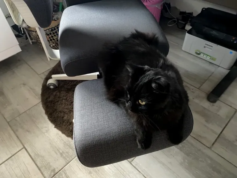 NEWTRAL Freedom-X-FF ergonomikus szék teszt 16