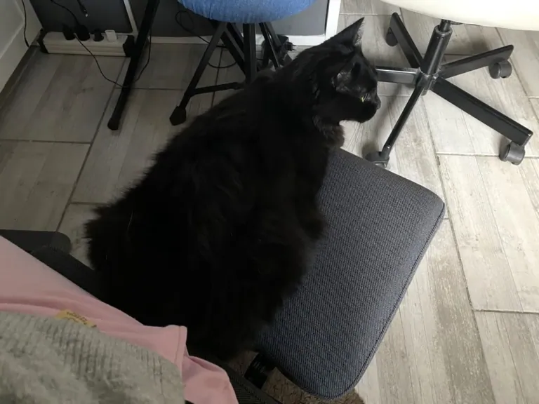 NEWTRAL Freedom-X-FF ergonomikus szék teszt 17