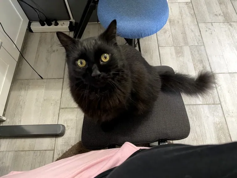 NEWTRAL Freedom-X-FF ergonomikus szék teszt 18