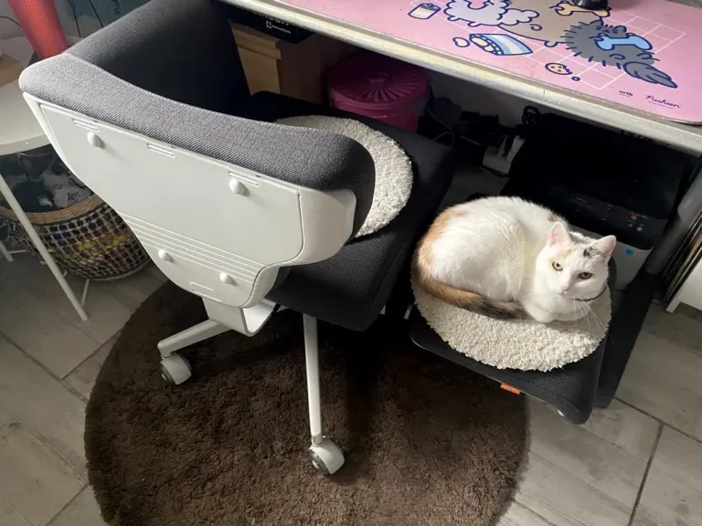 NEWTRAL Freedom-X-FF ergonomikus szék teszt 19