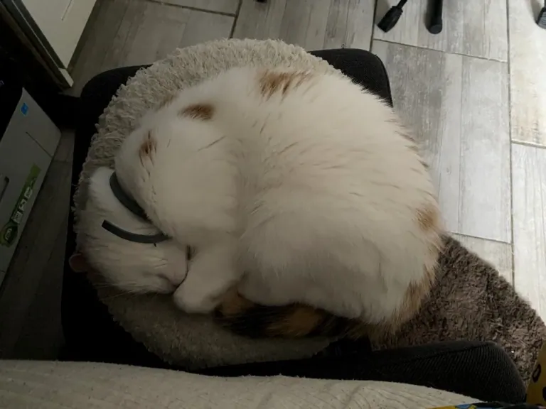 NEWTRAL Freedom-X-FF ergonomikus szék teszt 23