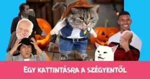 Egy kattintásra a szégyentől: Cirmi seriff