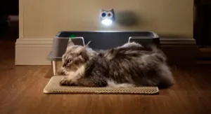 Test de la caméra de surveillance intelligente pour litière pour chats SiiPet LitterLens