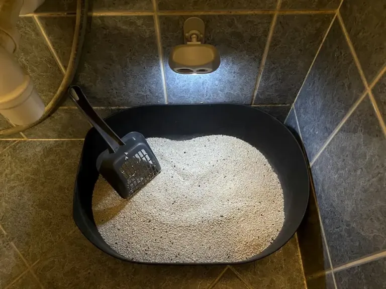 SiiPet LitterLens okos macskaalom-figyelő kamera teszt 7