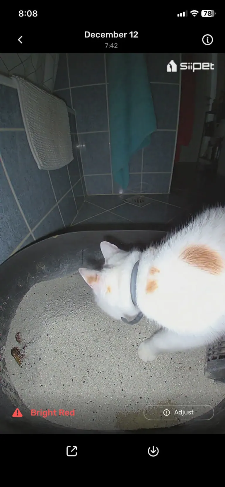 SiiPet LitterLens okos macskaalom-figyelő kamera teszt 23