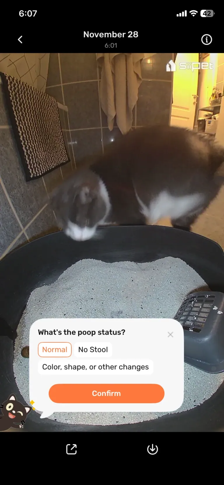 SiiPet LitterLens okos macskaalom-figyelő kamera teszt 25