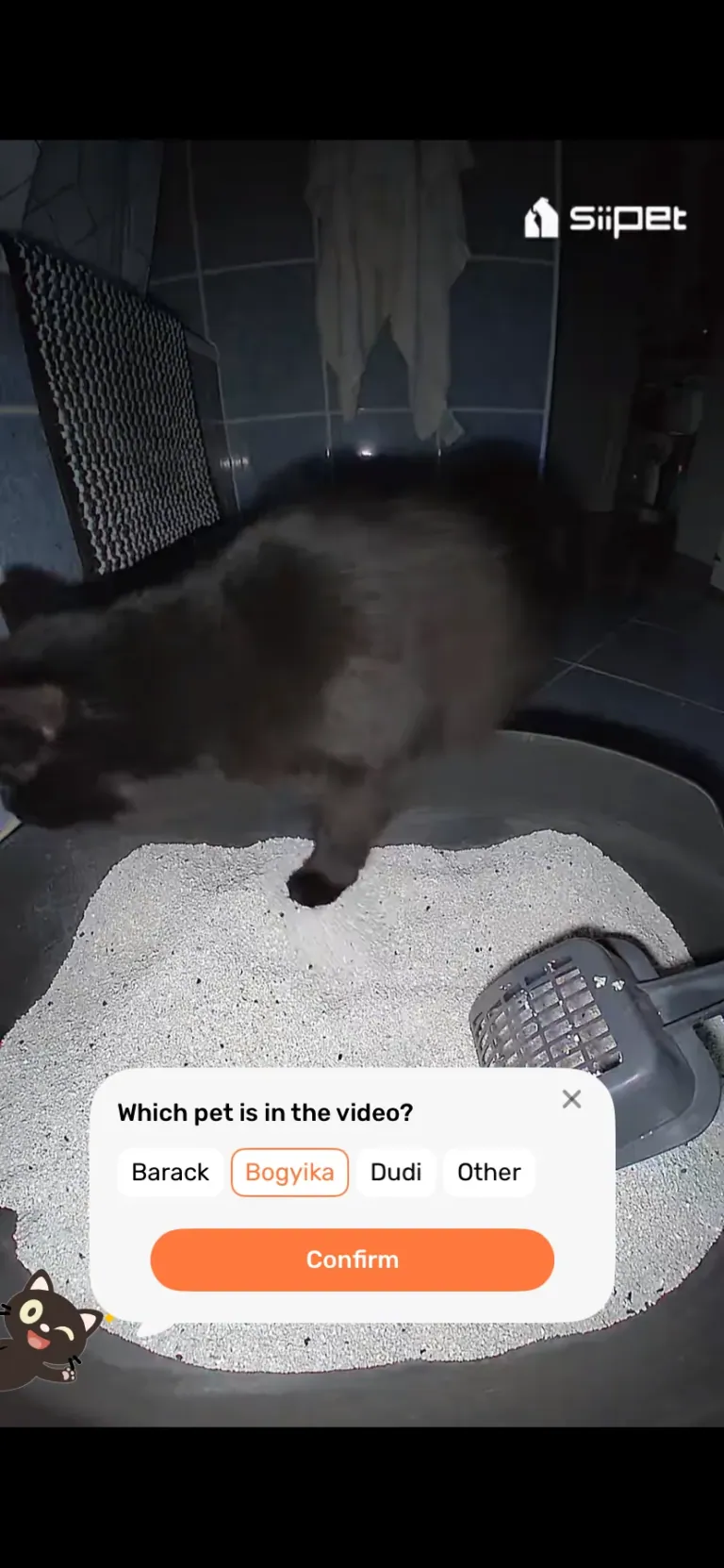 SiiPet LitterLens okos macskaalom-figyelő kamera teszt 27