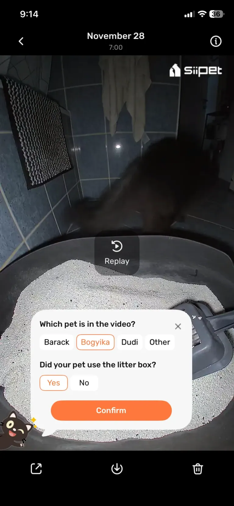 SiiPet LitterLens okos macskaalom-figyelő kamera teszt 28