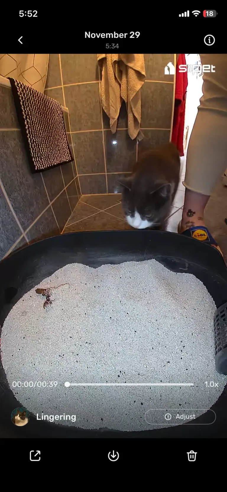 SiiPet LitterLens okos macskaalom-figyelő kamera teszt 29