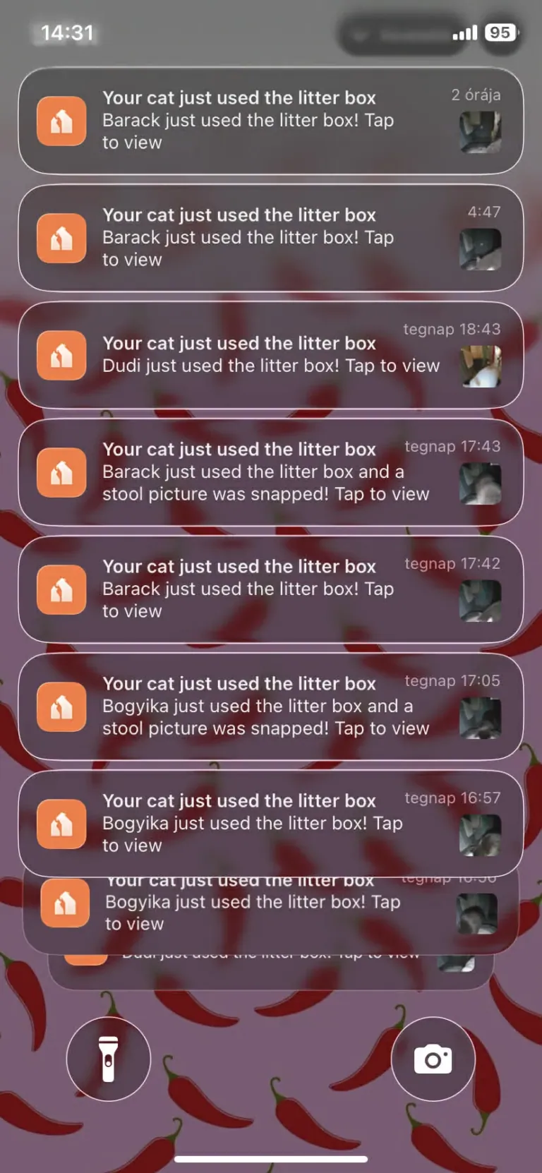 SiiPet LitterLens okos macskaalom-figyelő kamera teszt 36