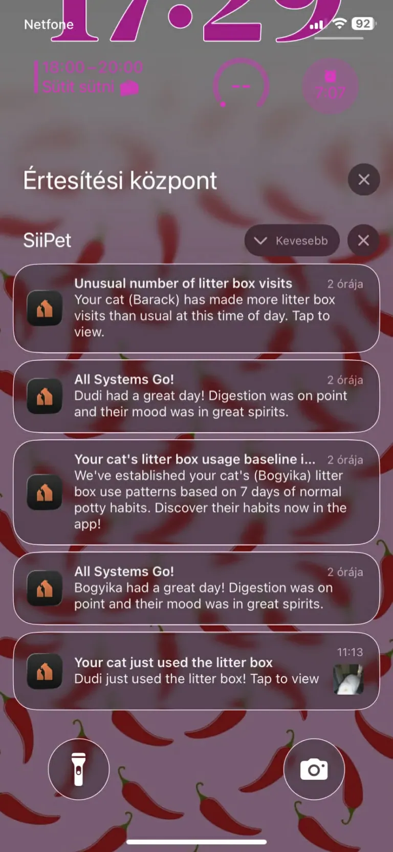 SiiPet LitterLens okos macskaalom-figyelő kamera teszt 37