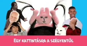 Egy kattintásra a szégyentől: a Csatos Rettenet