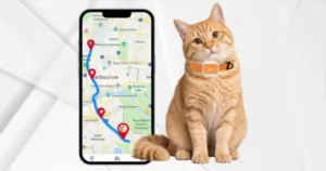 4G-s GPS követő, ami elárulja hol jár a cicád, kutyád