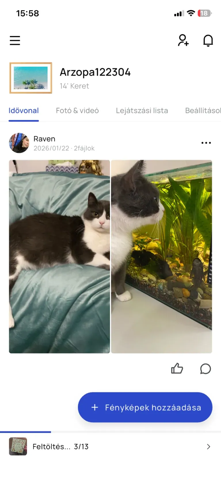 Arzopa D14 digitális képkeret teszt 16