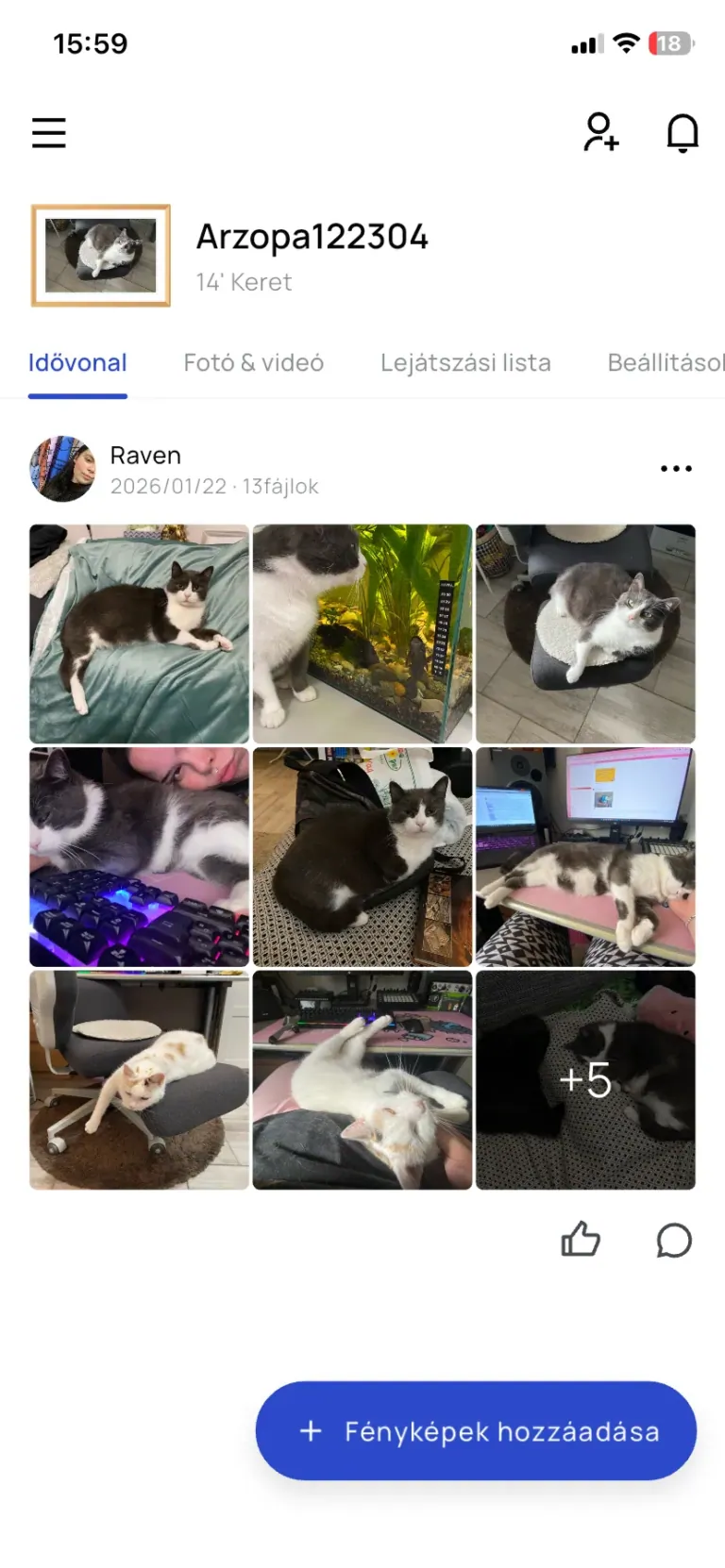 Arzopa D14 digitális képkeret teszt 17