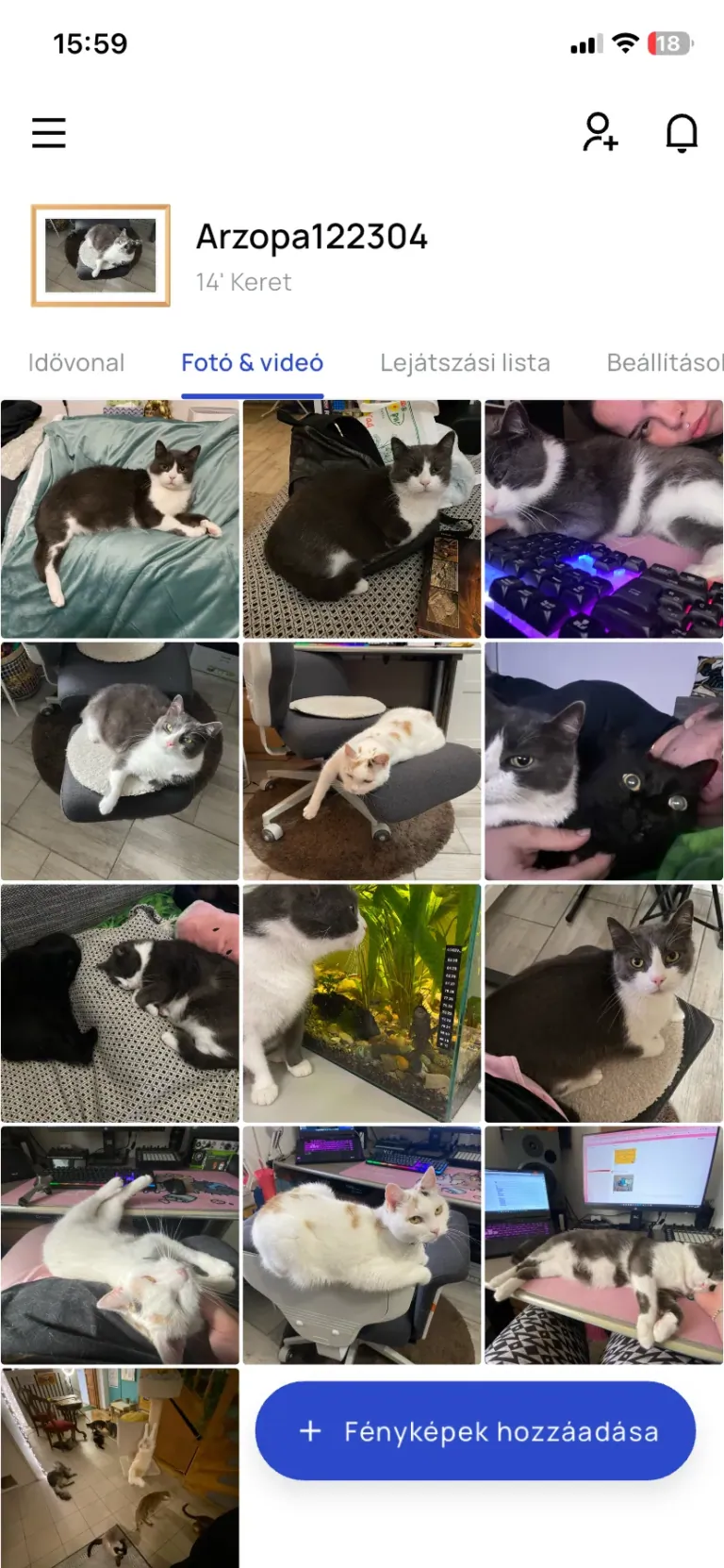 Arzopa D14 digitális képkeret teszt 18