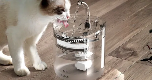 Így vedd rá a cicádat több ivásra a ROJECO segítségével 1