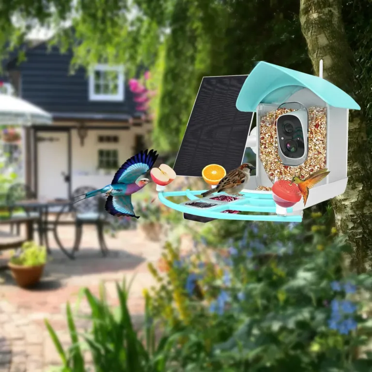 ZANLURE madáretető: a kerted saját Natgeo csatornája 4