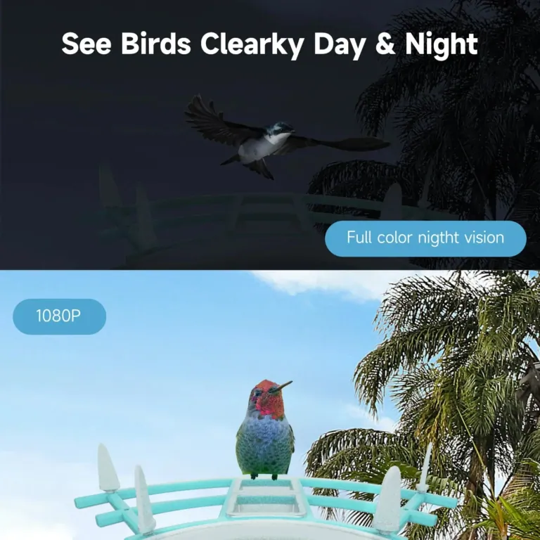 ZANLURE madáretető: a kerted saját Natgeo csatornája 5