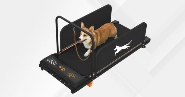 Bominfit GP03B: profi futópad a lakásba a kutyádnak 1