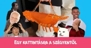 Egy kattintásra a szégyentől – A homártasi