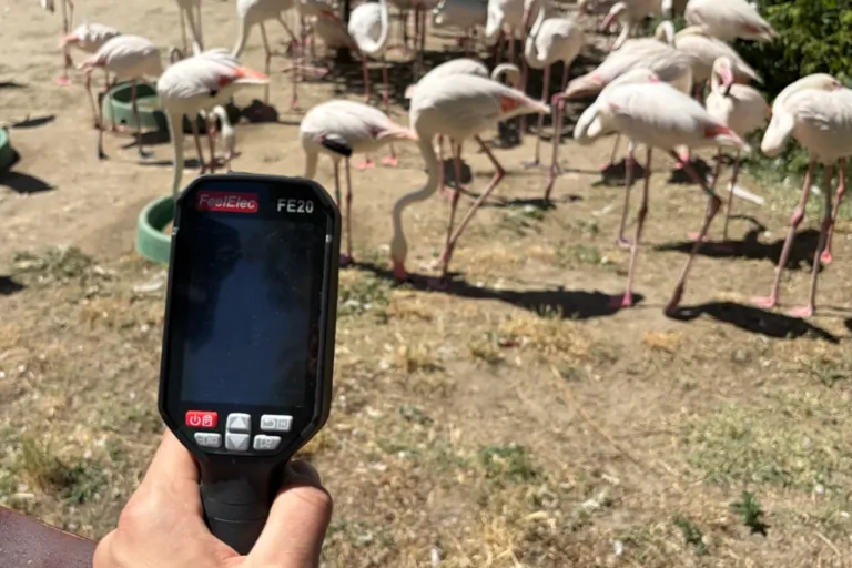 FeelElec FE20 Pro hőkamera teszt 22